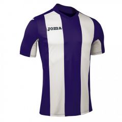 Футболка Joma Pisa V 100403.550 фиолетово-белая, Цвет: фиолетовый, Размер производителя: L