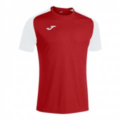 Футболка Joma ACADEMY IV красно-белая 101968.602, Цвет: красный, Размер производителя: М