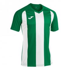 Футболка Joma PISA II зелено-белая 102243.452, Цвет: зеленый, Размер производителя: 3XS