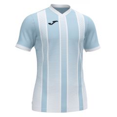 Футболка Joma TIGER II голубовато-белая 101464.352, Цвет: голубой, Размер производителя: М