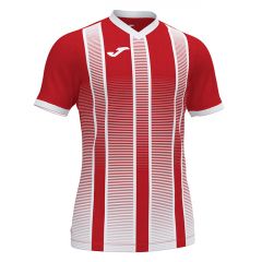 Футболка Joma TIGER II 101464.602 красно-белая, Цвет: красный, Размер производителя: L