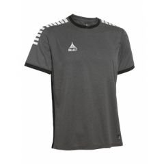 Футболка SELECT Monaco player shirt s/s (002) сірий, Колір: сірий, Розмір виробника: L