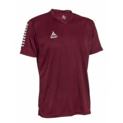Футболка SELECT Pisa player shirt s/s (011) бордо, Цвет: бордовый, Размер производителя: 4XS