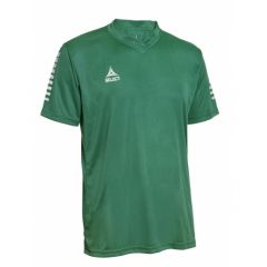 Футболка SELECT Pisa player shirt s/s (004) зелений, Колір: зелений, Розмір виробника: 3XS