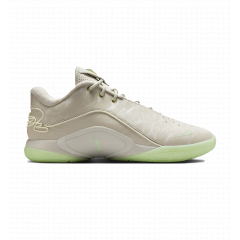 Кросівки Nike LEBRON XXII FZ1094-002, Колір: бежевий, Розмір виробника: 46