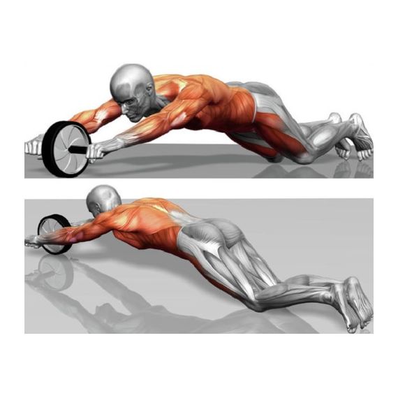 Ролик Yakimasport для преса 100428, зображення 2