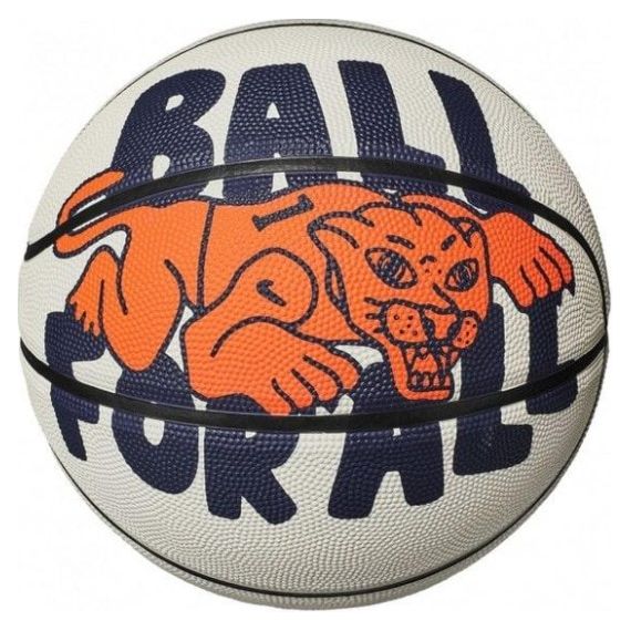 М'яч баскетбольний Nike EVERYDAY PLAYGROUND 8P GRAPHIC DEFLATED N.100.4371.063.05