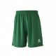 Шорты Kelme GLOBAL II зеленые 8351ZB1143.9311, Цвет: зеленый, Размер производителя: L Шорты Kelme GLOBAL II зеленые 8351ZB1143.9311, Цвет: зеленый, Размер производителя: L