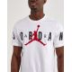 Футболка Jordan M JD AIR STRETCH SS CREW DV1445-100, Цвет: белый, Размер производителя: М, изображение 3 Футболка Jordan M JD AIR STRETCH SS CREW DV1445-100, Цвет: белый, Размер производителя: М, изображение 3