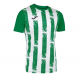 Футболка зелено-белая Joma INTER III 103164.452, Цвет: зеленый, Размер производителя: S Футболка зелено-белая Joma INTER III 103164.452, Цвет: зеленый, Размер производителя: S